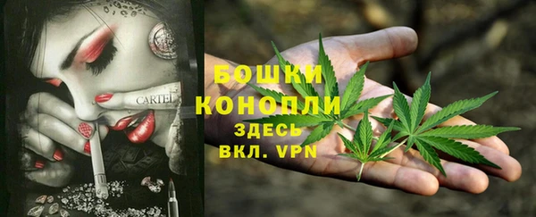 крисы Заволжск