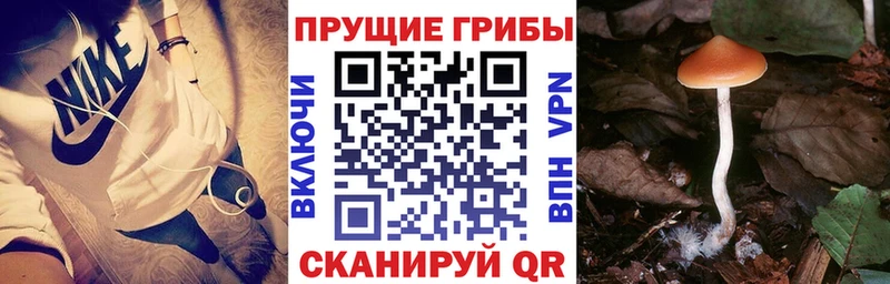 наркошоп  Тбилисская  Галлюциногенные грибы мицелий 