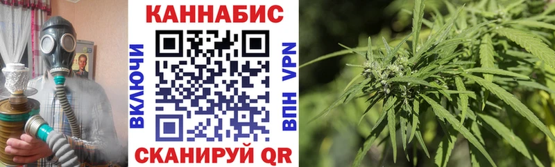 Бошки Шишки сатива  Тбилисская 